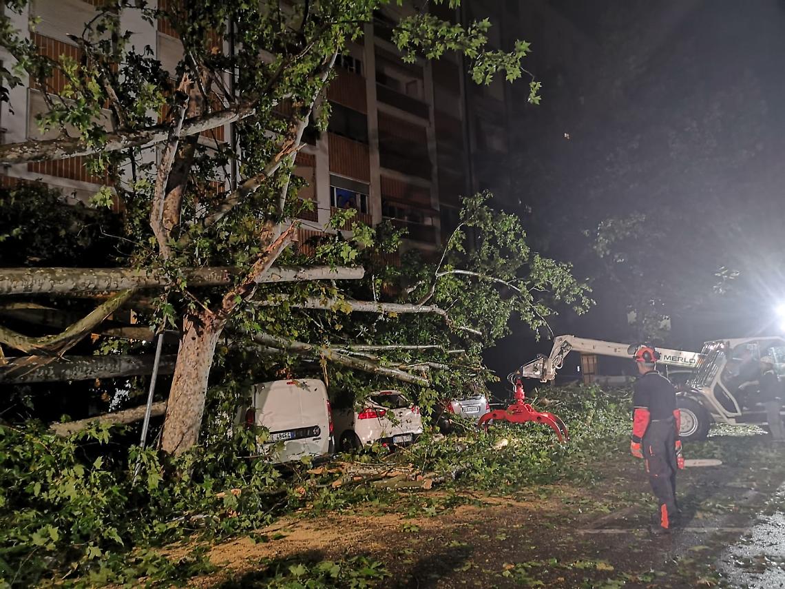 platano via rosselli 2