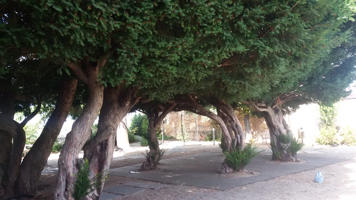 vaglio serra giardino pensile