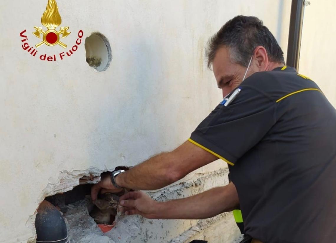 21028E61-2583-45D4-AFCA-4286030513EC