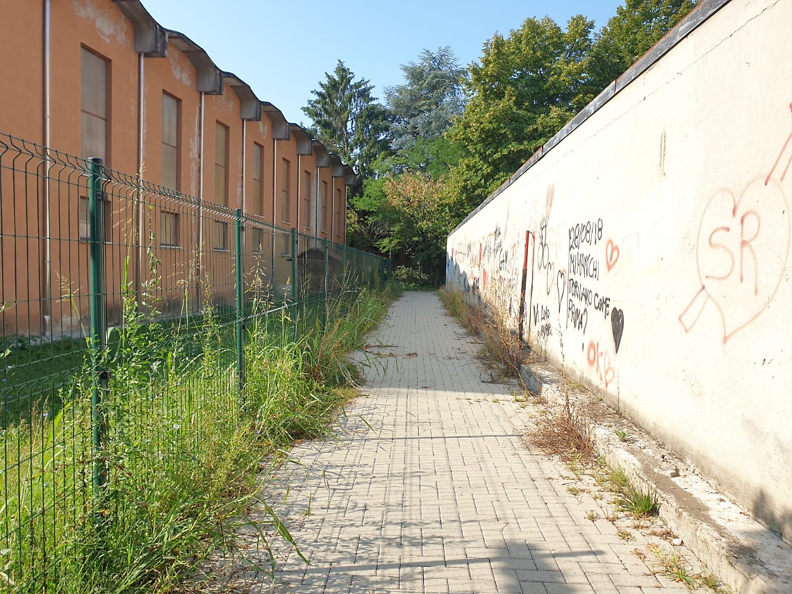 erba pista ciclabile TorrettaWhatsApp Image 2020-09-03 at 10.43.30