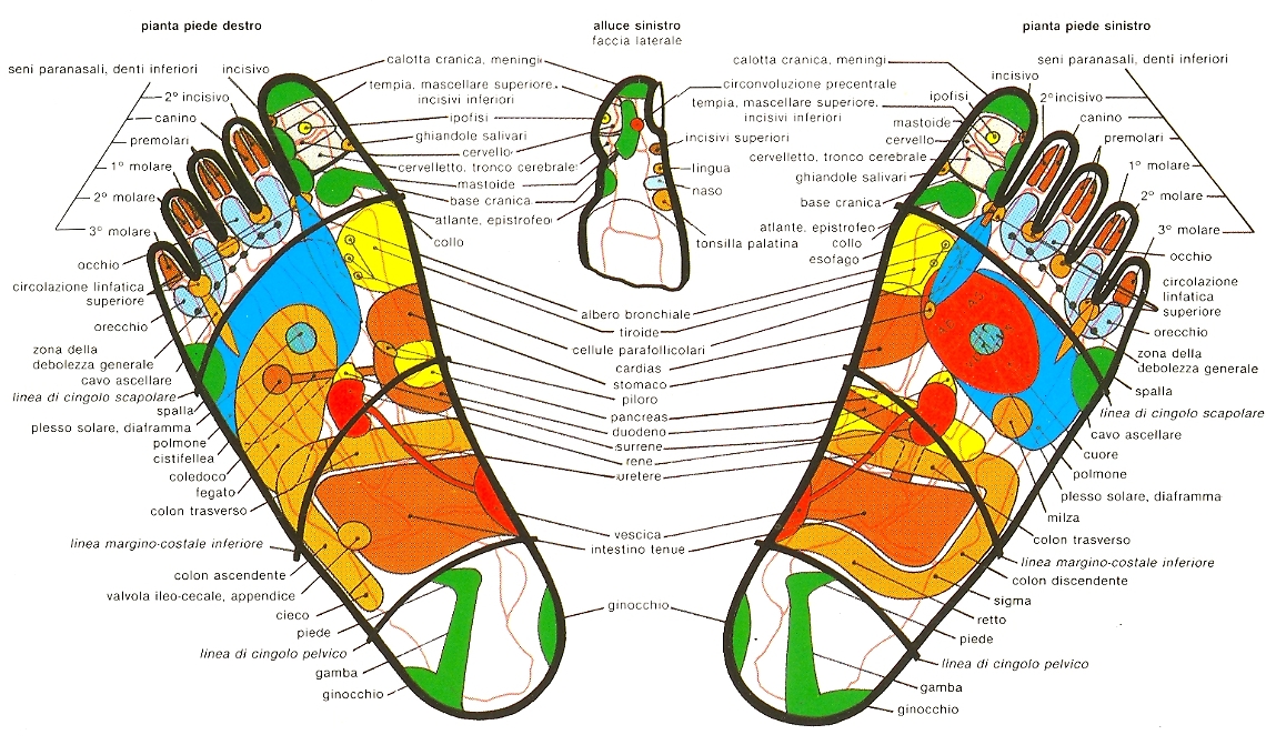 riflessologia_plantare-03