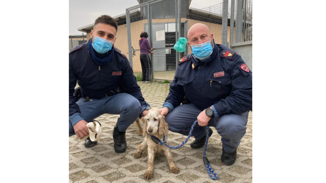 cane salvato polizia