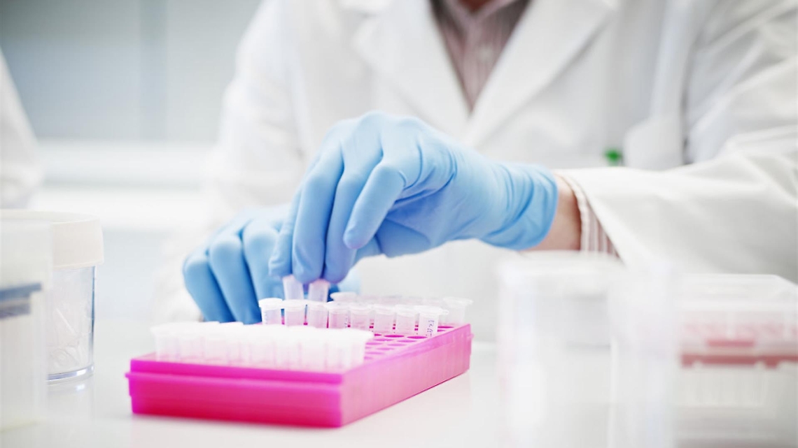 e09d0856-c363-461f-8b61-2ab7808b2fe2_xl