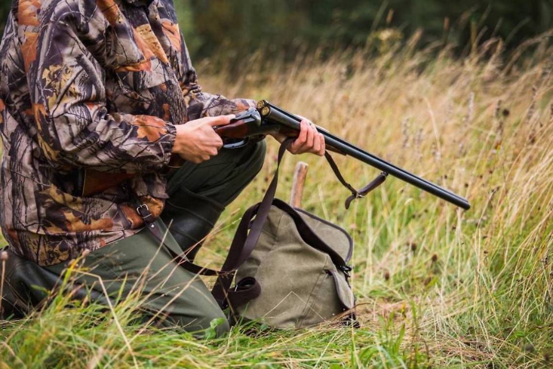 0297F760-2388-4000-A424-58C7C9C21BE0