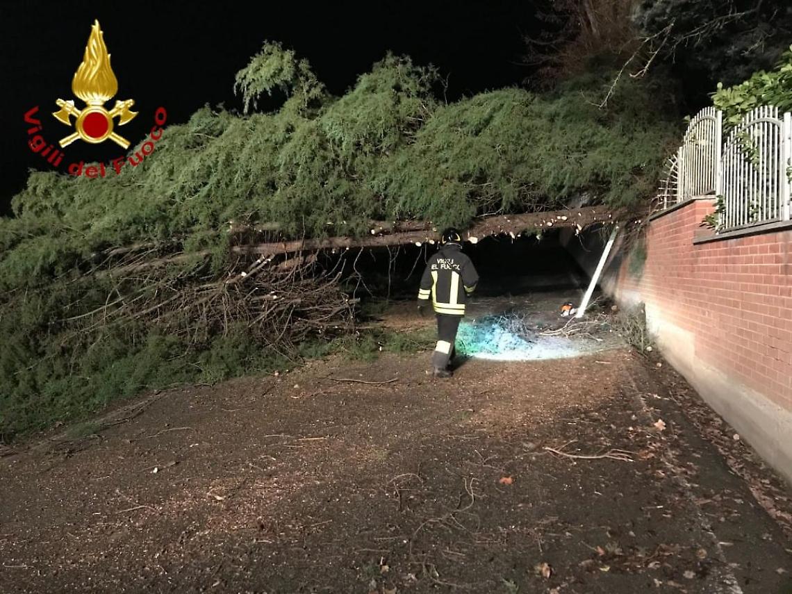 4B7CF117-0888-4B18-9D8E-949A41620451