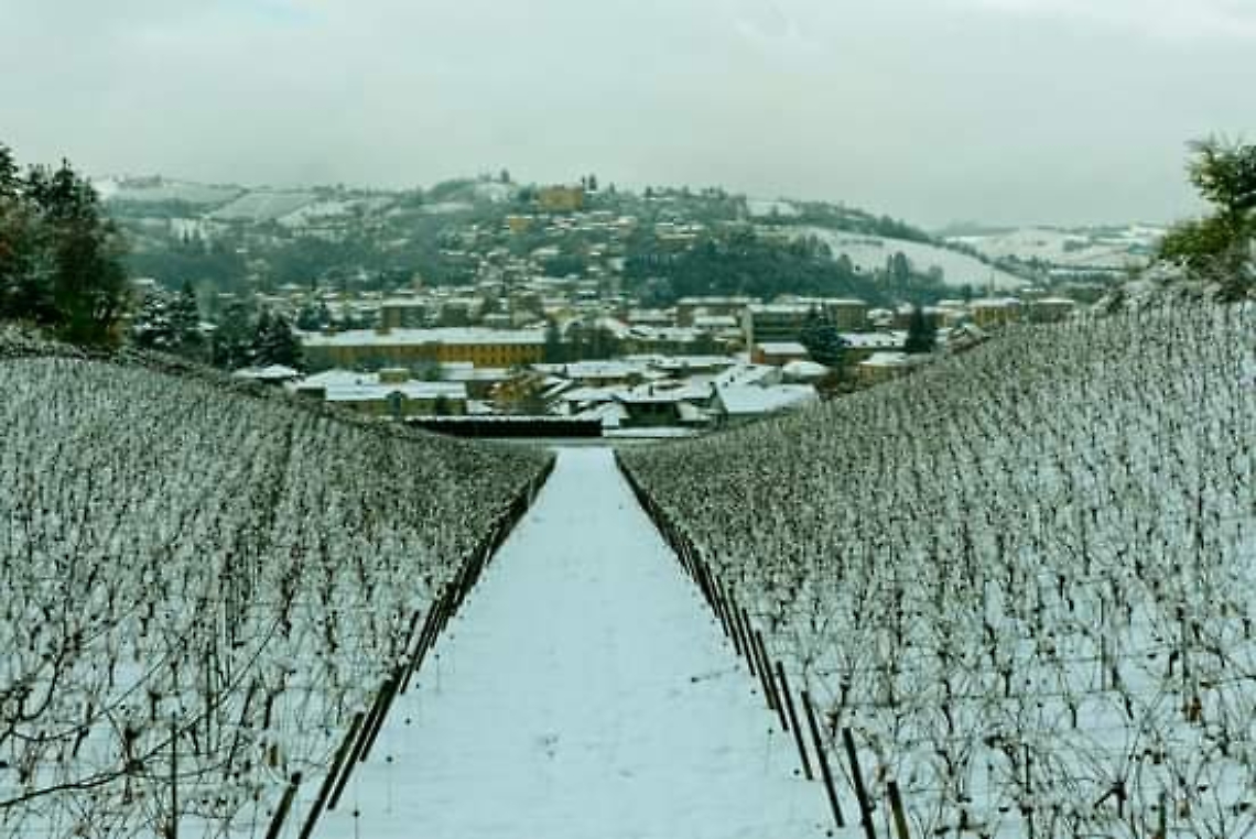 ECD2AFF3-EA46-4162-B529-EB9412CD823B