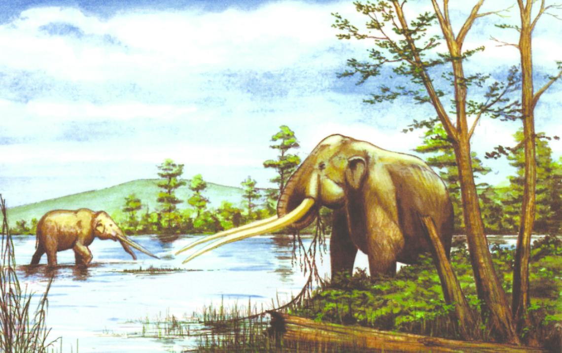 Mastodonte nel Villafranchiano