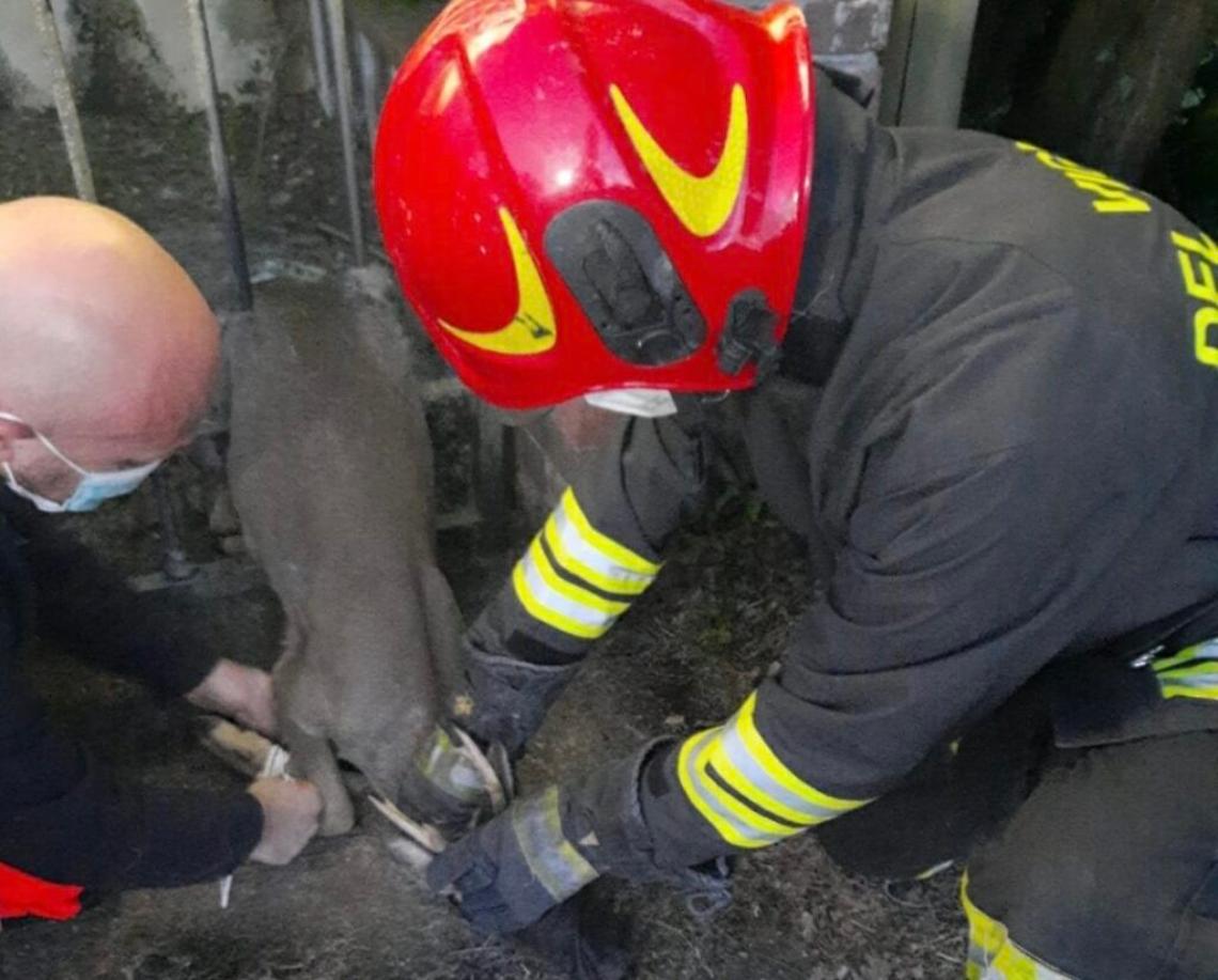 40FB0AE8-D616-4DF5-AD44-54E729790AAC