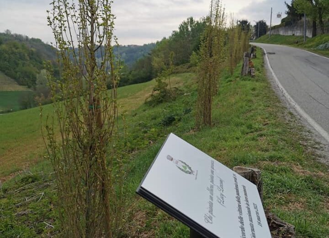 montegrosso alberi vittime covid 1