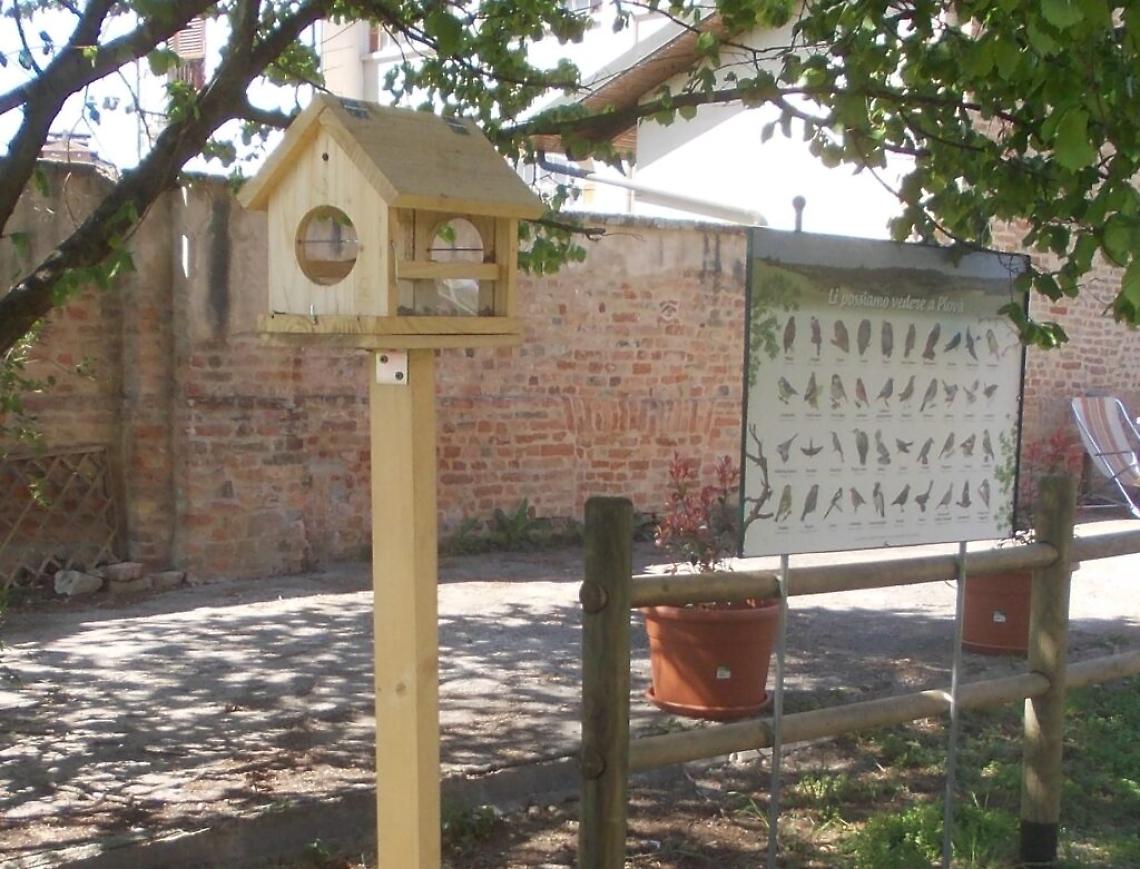 piov&agrave; uccelli