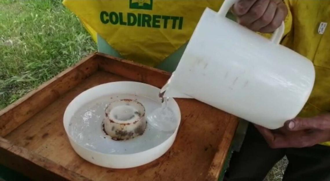 Nutrizione artificiale delle api