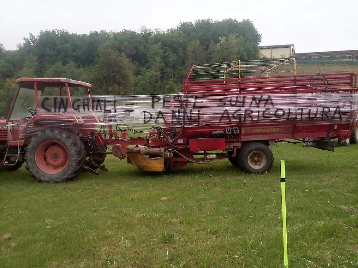 cinghiali protesta giro d'Italia2