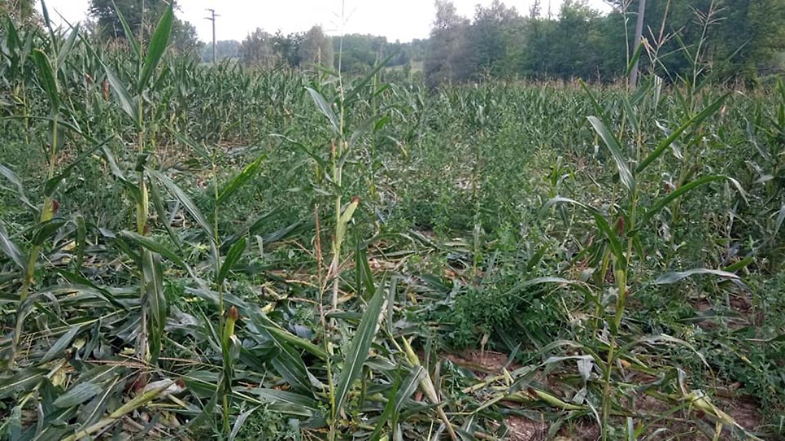 229529070_10226068189468797_3479434716075891273_n