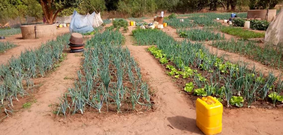 WhatsApp Image 2021-08-12 at 22.40.13