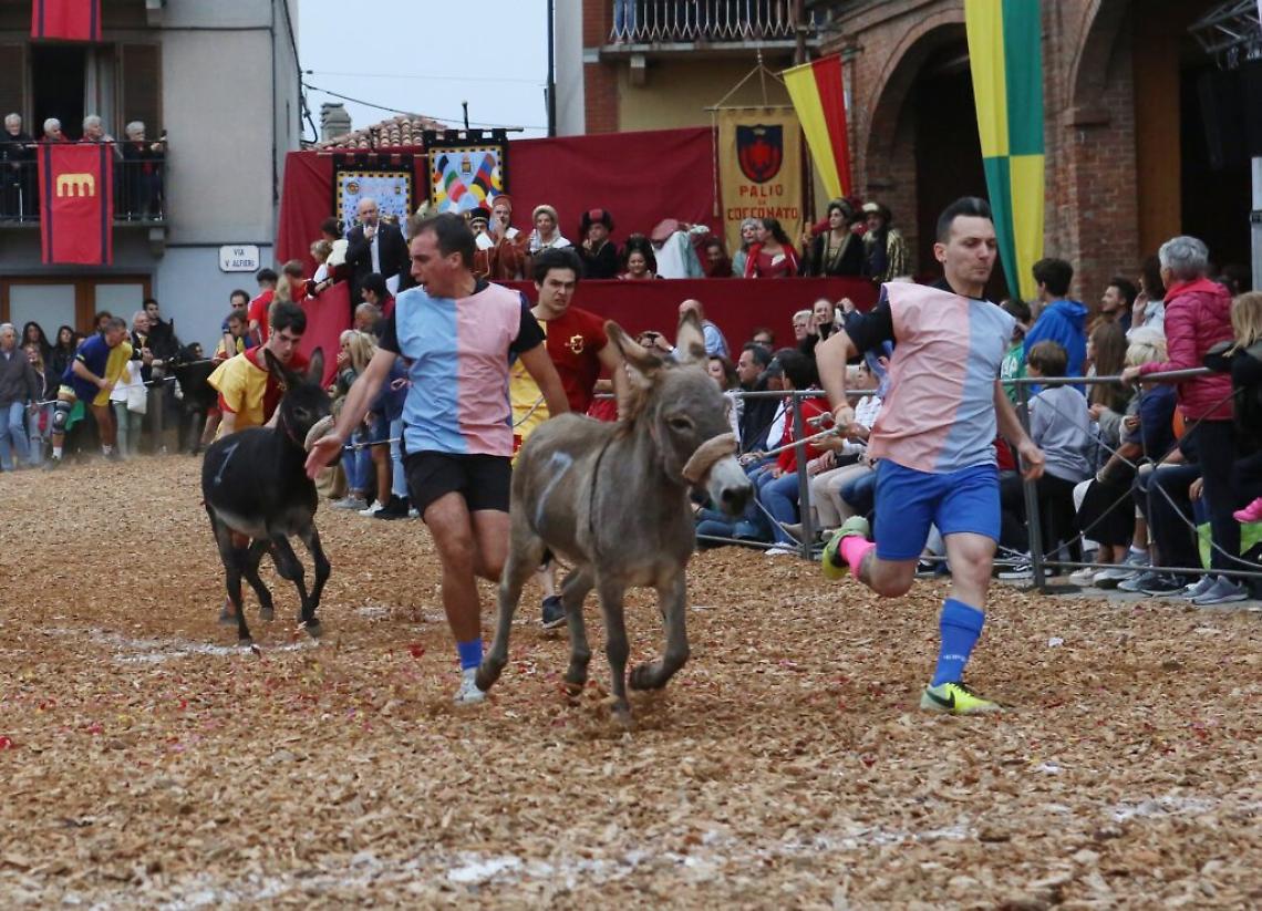 palio 2019 corsa cocconato