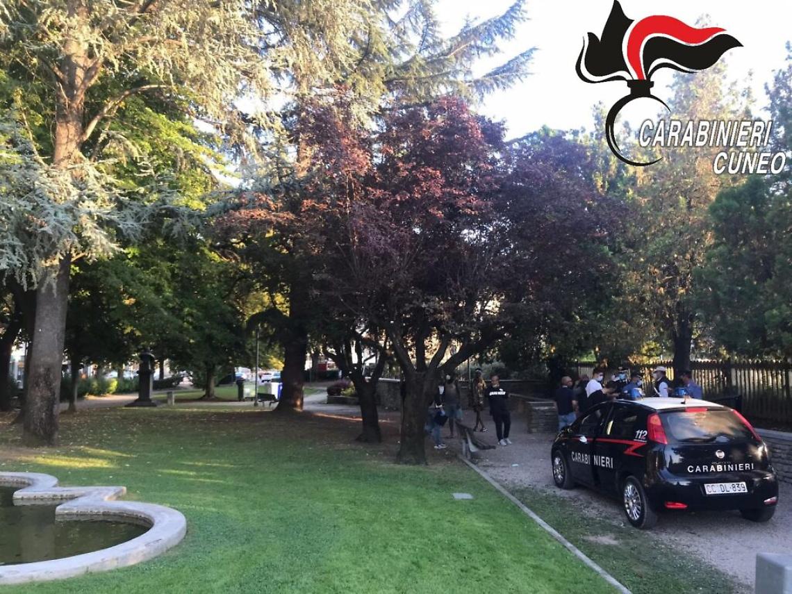 Cp Alba controllo parchi 2