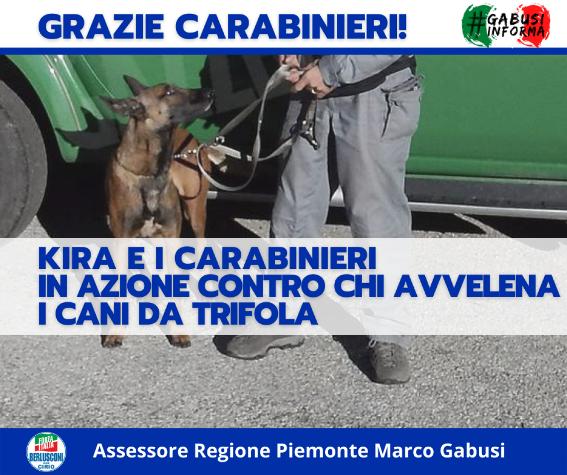 Grazie di gabusi ai Carabinieri