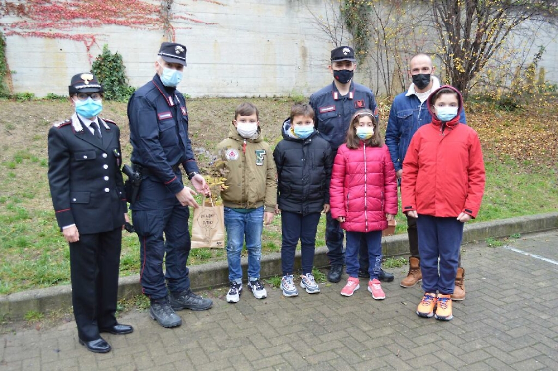 Salvo d'Acquisto frassini