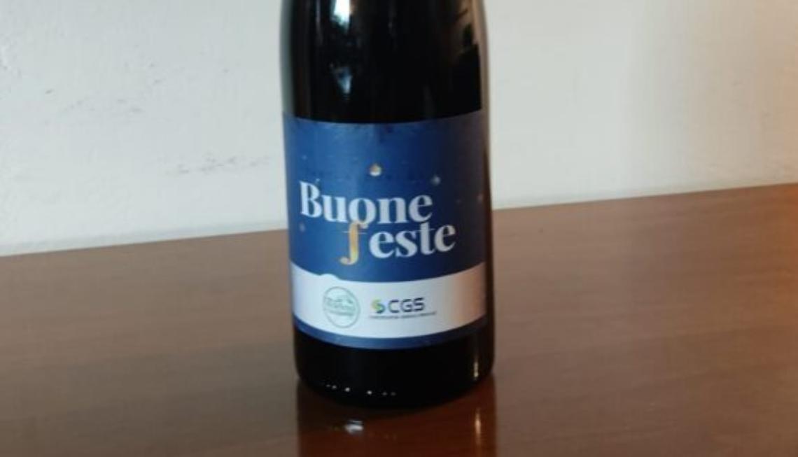 buone feste - Barbera d&rsquo;Asti Docg (Del Fan 2020) di Castino Sas di Agliano Terme