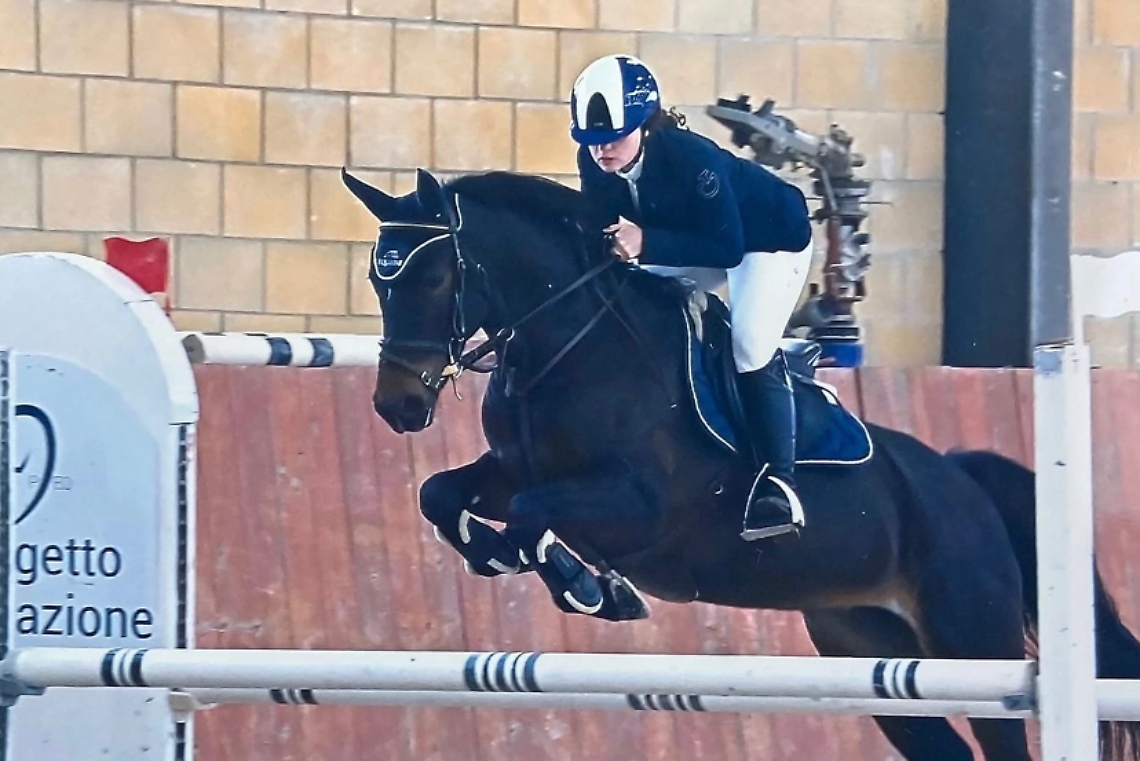 86AC2E78-8CE7-458E-887C-1C29B4B85712