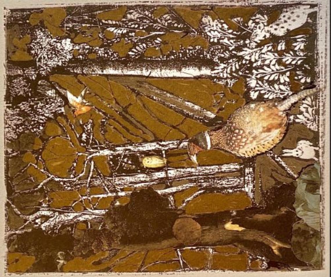 Mostra Racconti a collage Guglielminetti