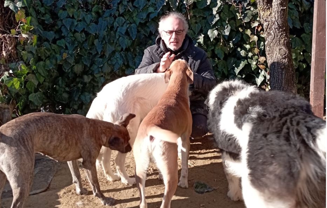 branco felice cortazzone andrea romei