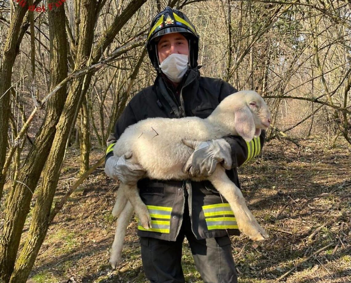 83B50713-90DD-4499-9462-455A5D70B0EF