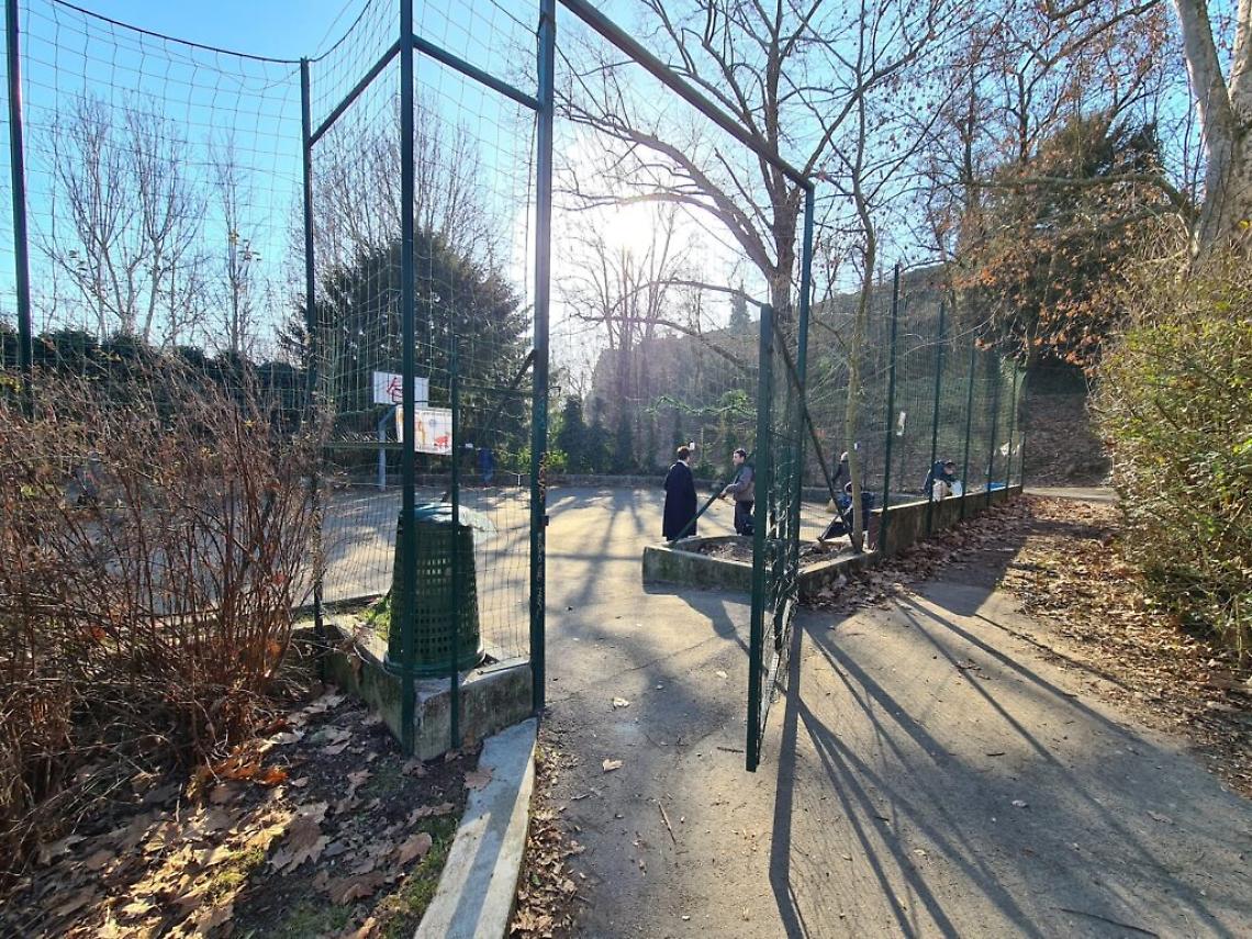 campetto bosco dei partigiani