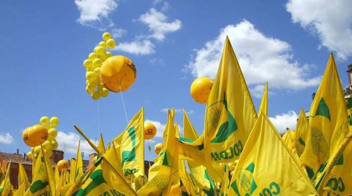 coldiretti-lancia-allarme-prezzi-da-grano-a-pane-meteoweek.com740