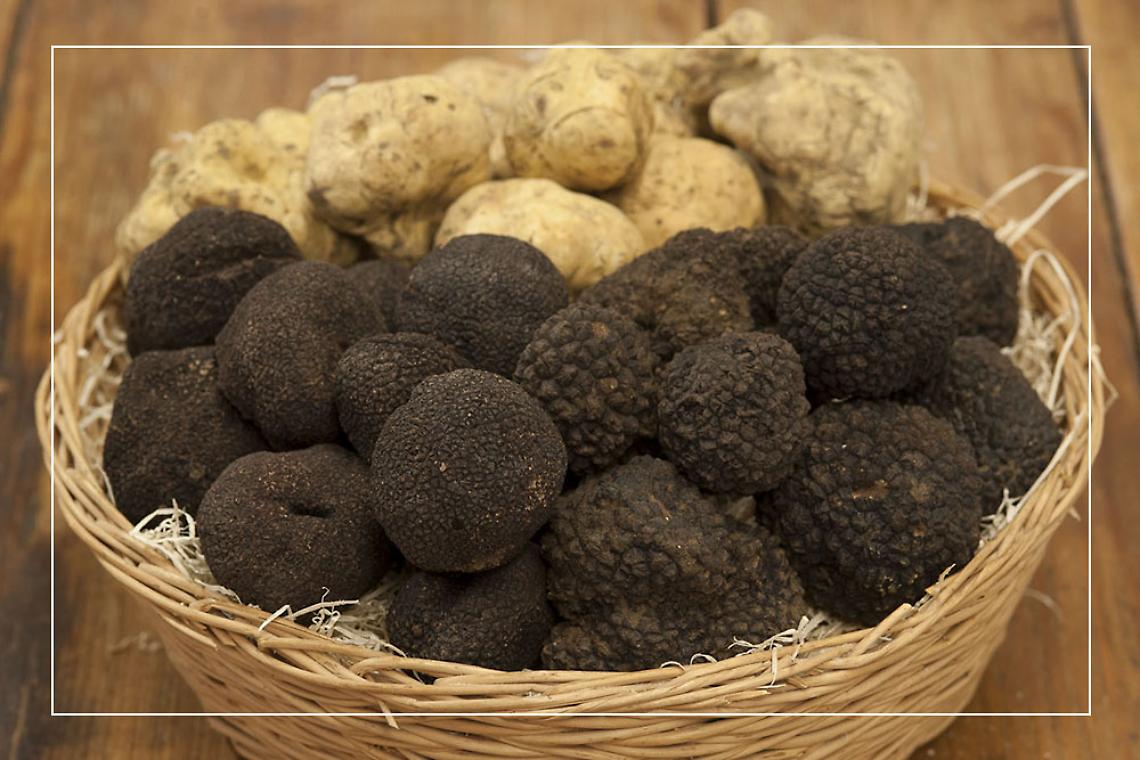 tartufo-nero-tartufo-bianco
