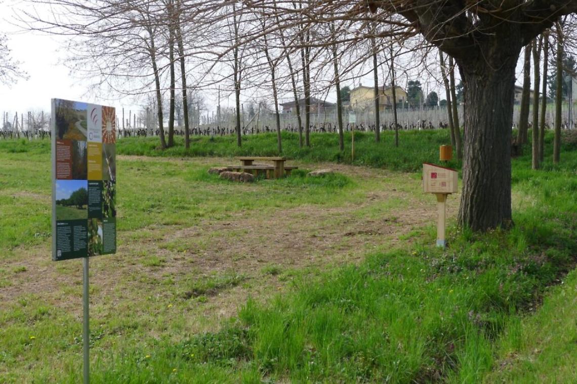 costigliole d'asti cascina castl&egrave;t picnic
