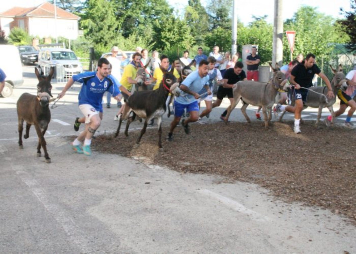 Quarto-ns8bv1n3zl2yit87d6z241yz67g2d20w471mwhn1xk