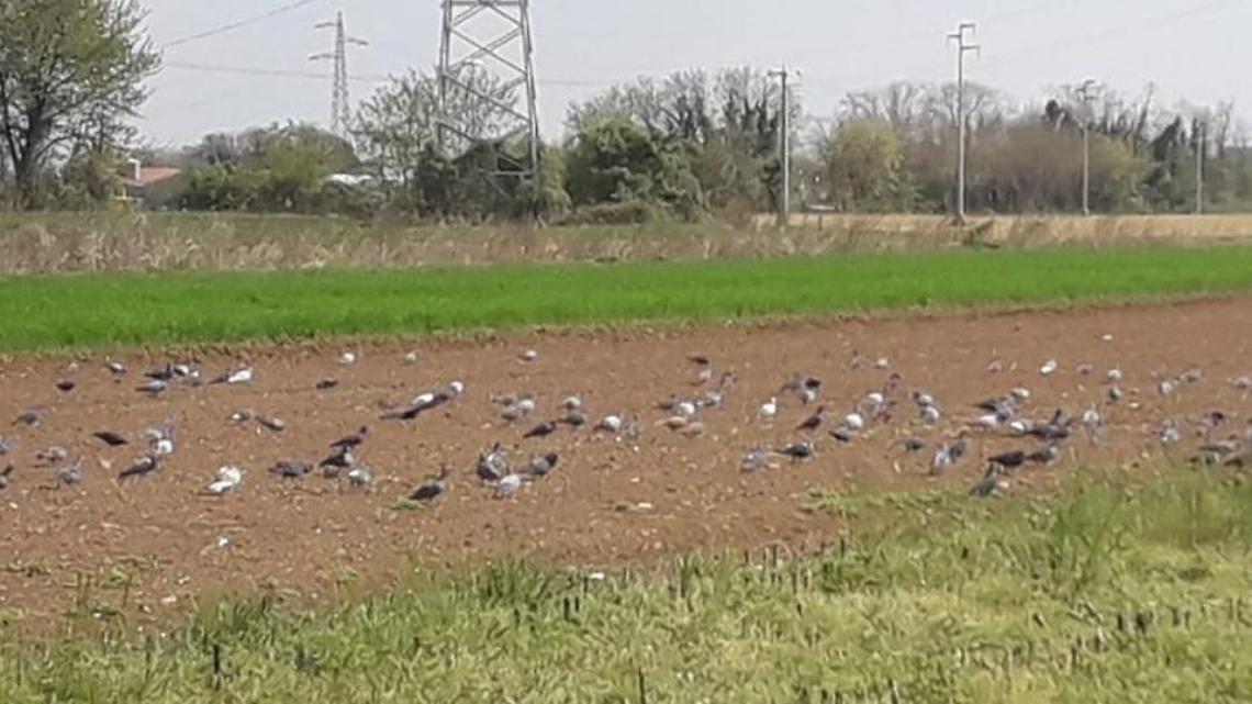 image.jpg f=detail_558&h=720&w=1280&$p$f$h$w=a952e14