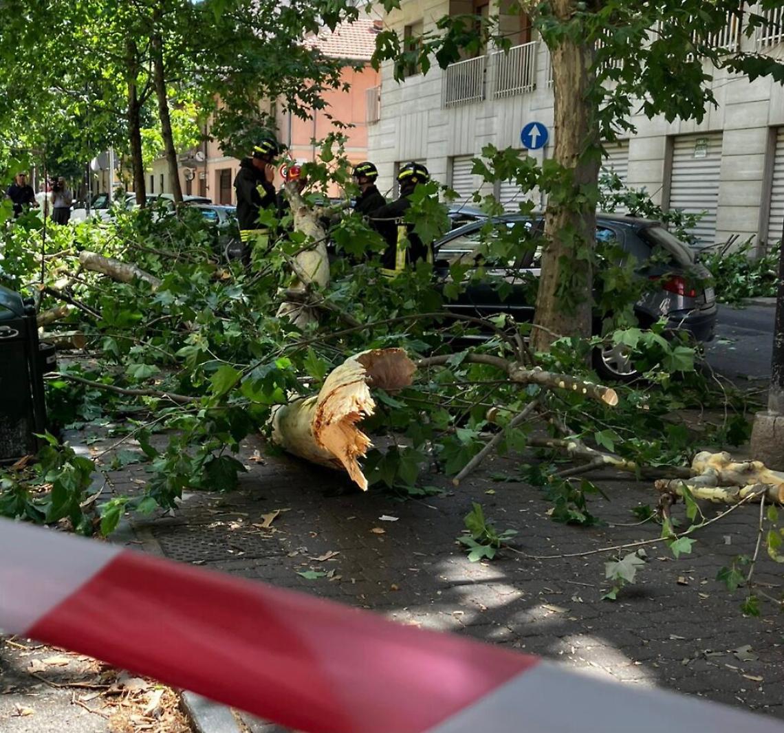 69E8B1A2-C766-415E-9942-509B8EDC2B0F