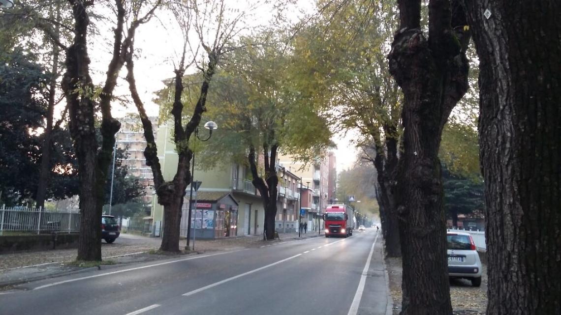 Olmi viale Risorgimento
