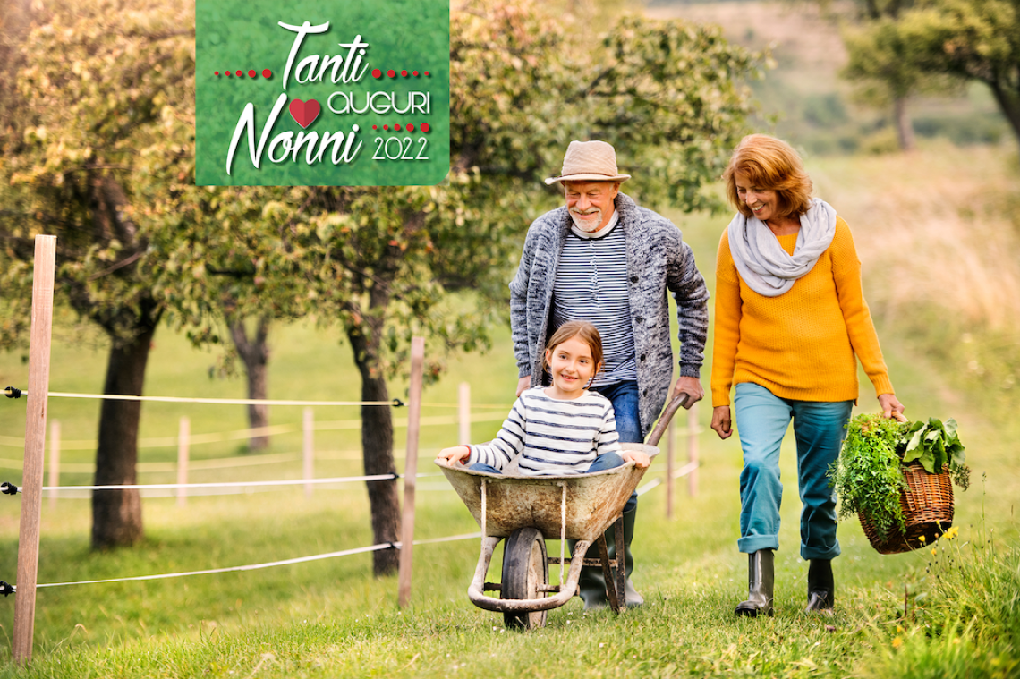 tanti auguri nonni