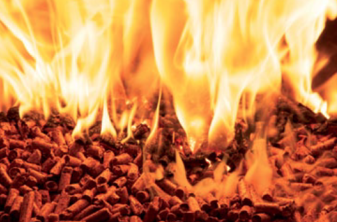 Pellet-aiel-articolo-rivista-QEit