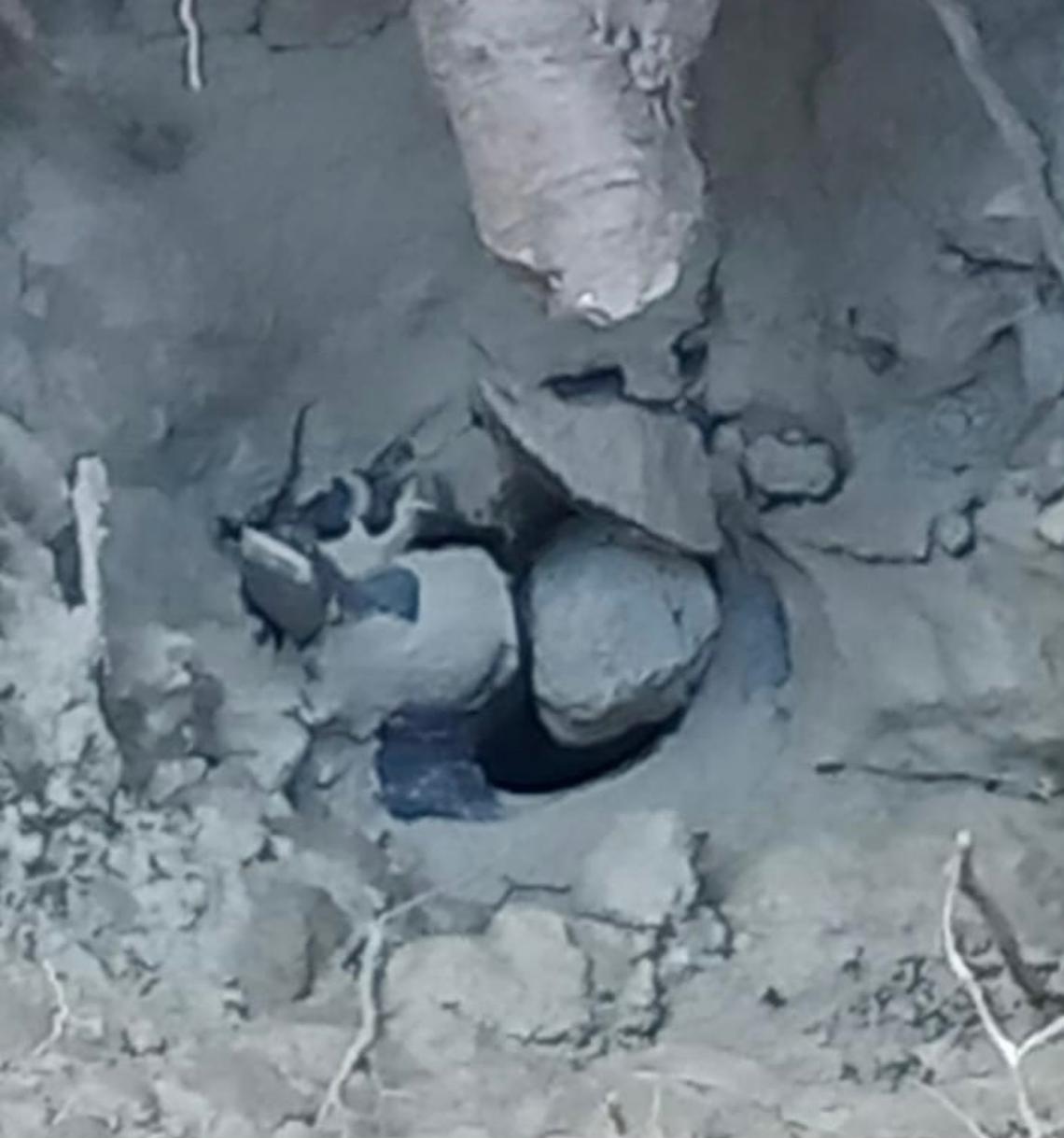 BD138DE8-1DA6-471B-B795-E085026B1783