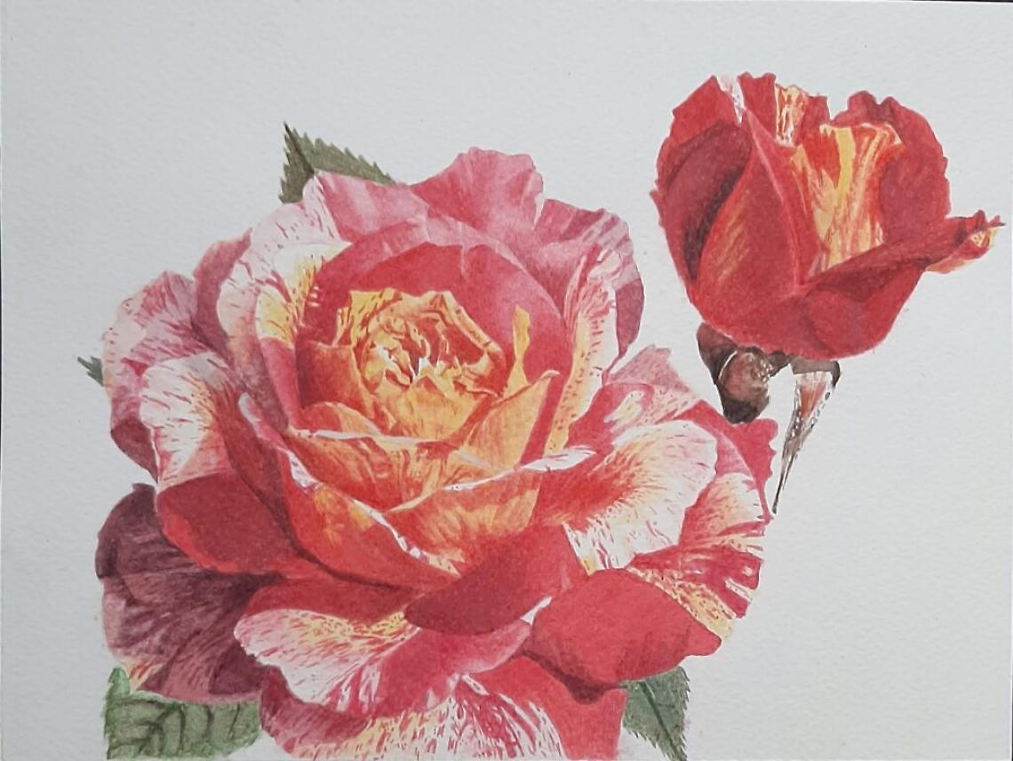 Mostra_rose_fiori_Biblioteca_12_2022 (1)