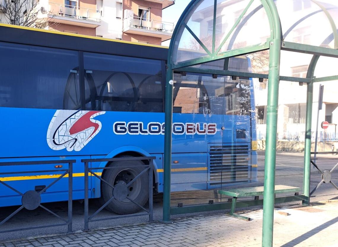 Geloso bus web