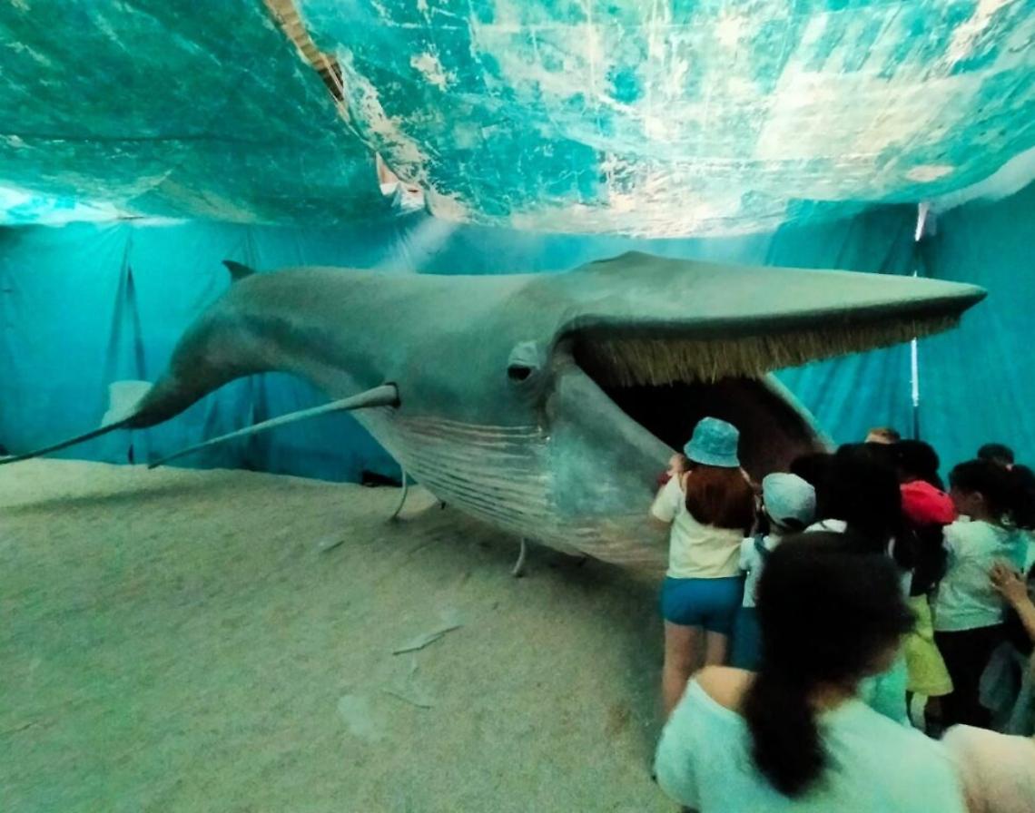 balena emilia vigliano