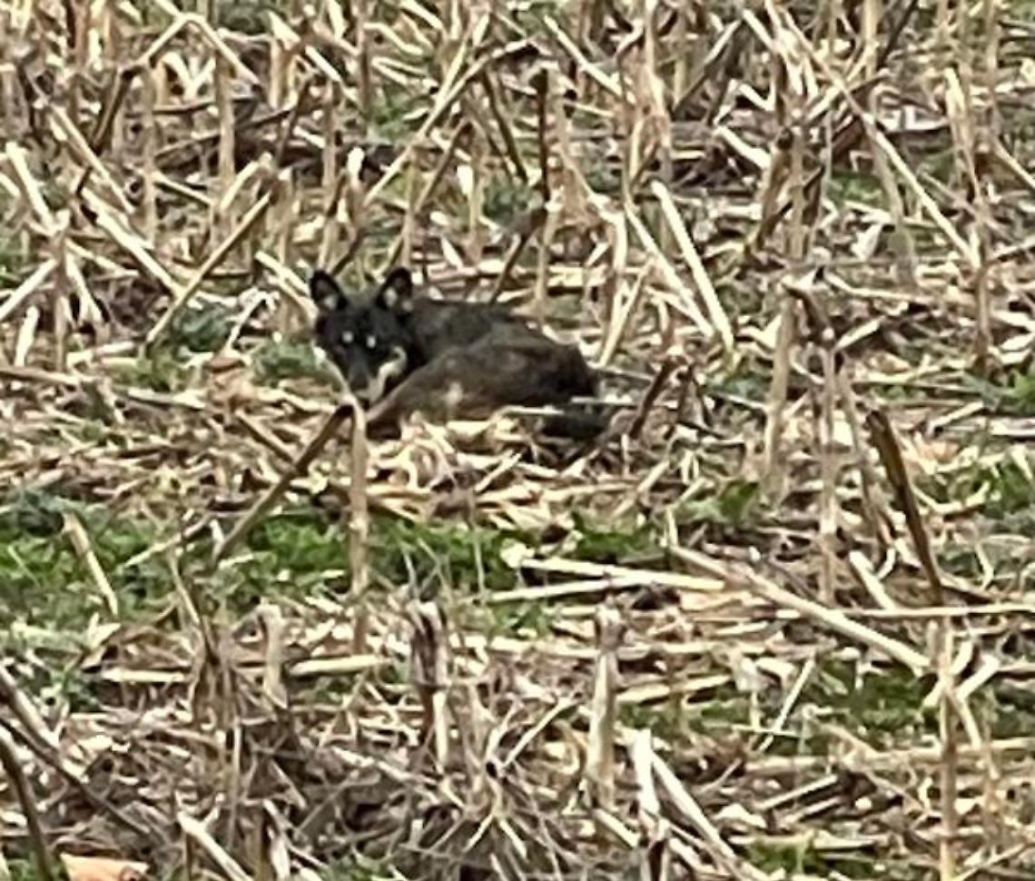 336009655_1940930906265225_8325198986999470087_n