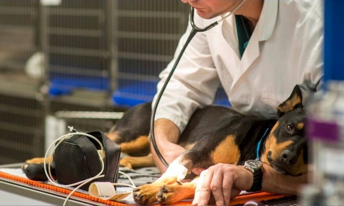 generico-agosto-2022-343660