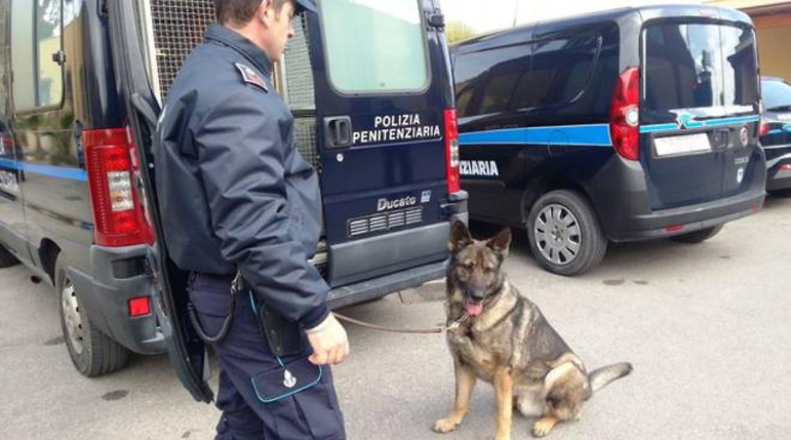 unita-cinofila-della-polizia-penitenziaria-26527.660x368