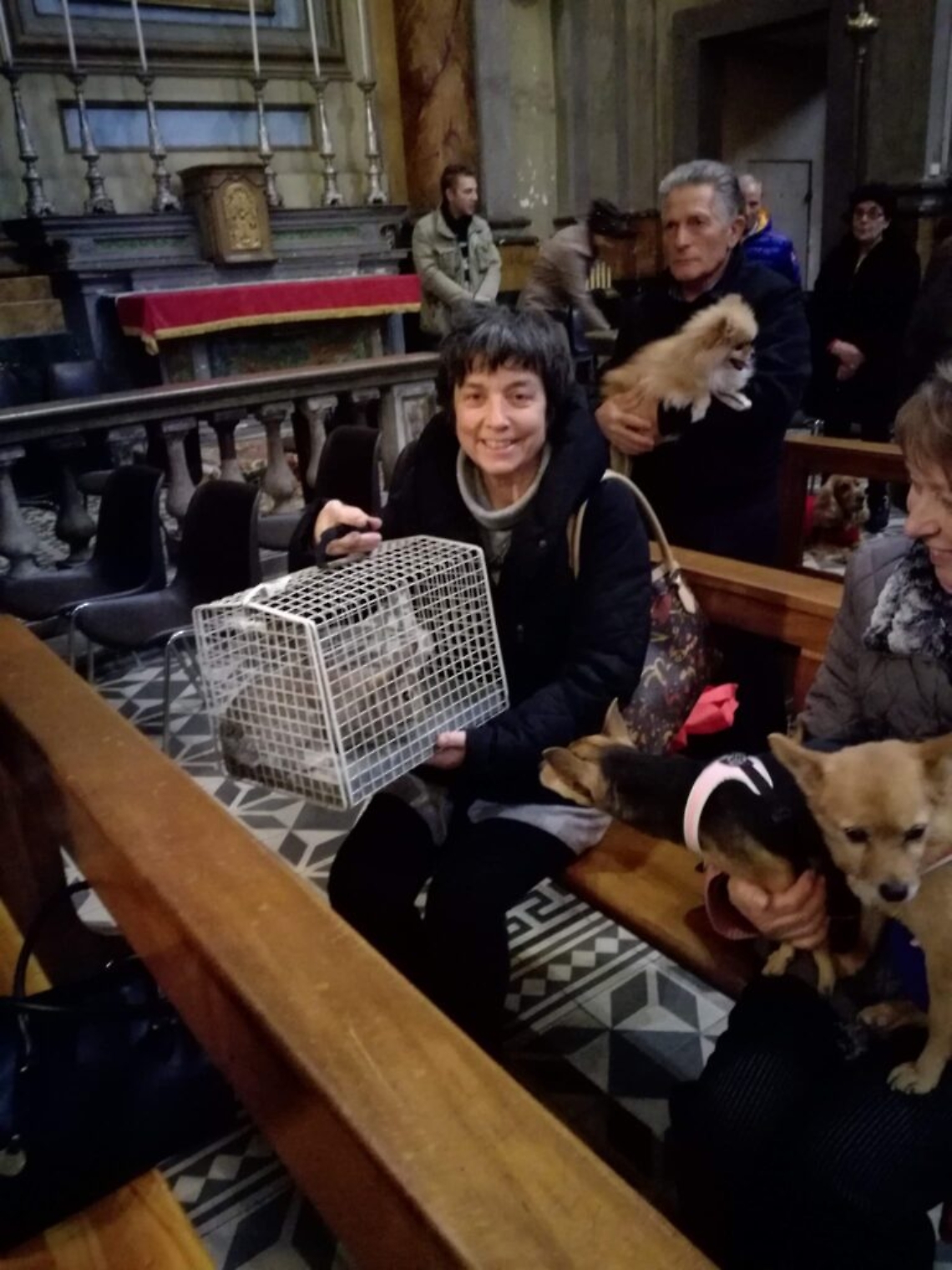 Benedizione animali messa