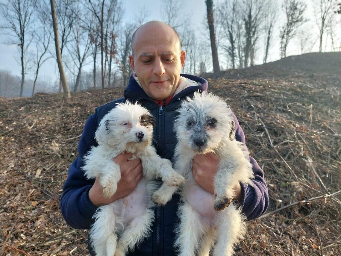 Massimiliano Di Scerni