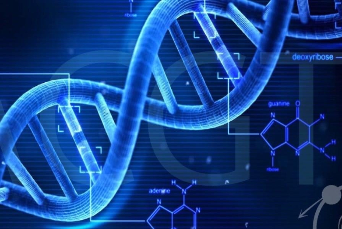 dna