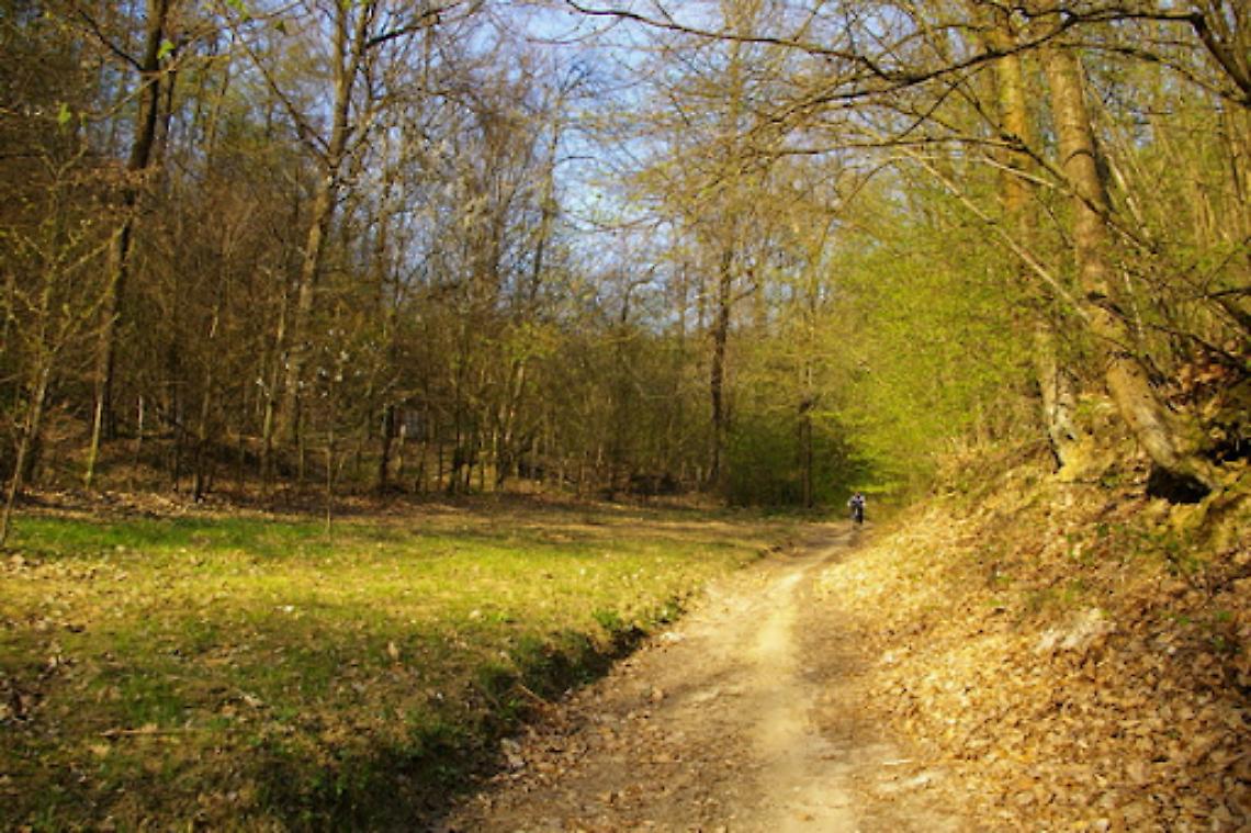 Veduta dei boschi di Valmanera ad Asti