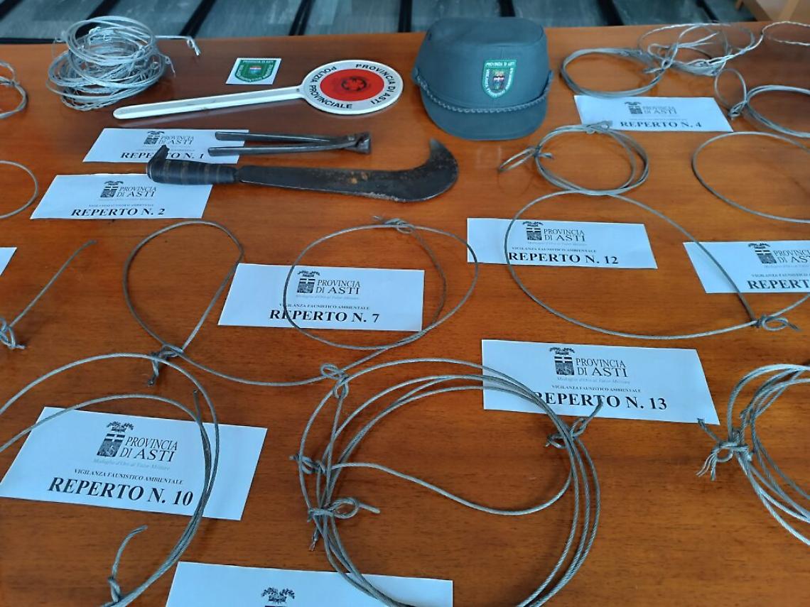 Asti, sequestrati ad un bracconiere 34 cappi in acciaio per la caccia di caprioli e cinghiali