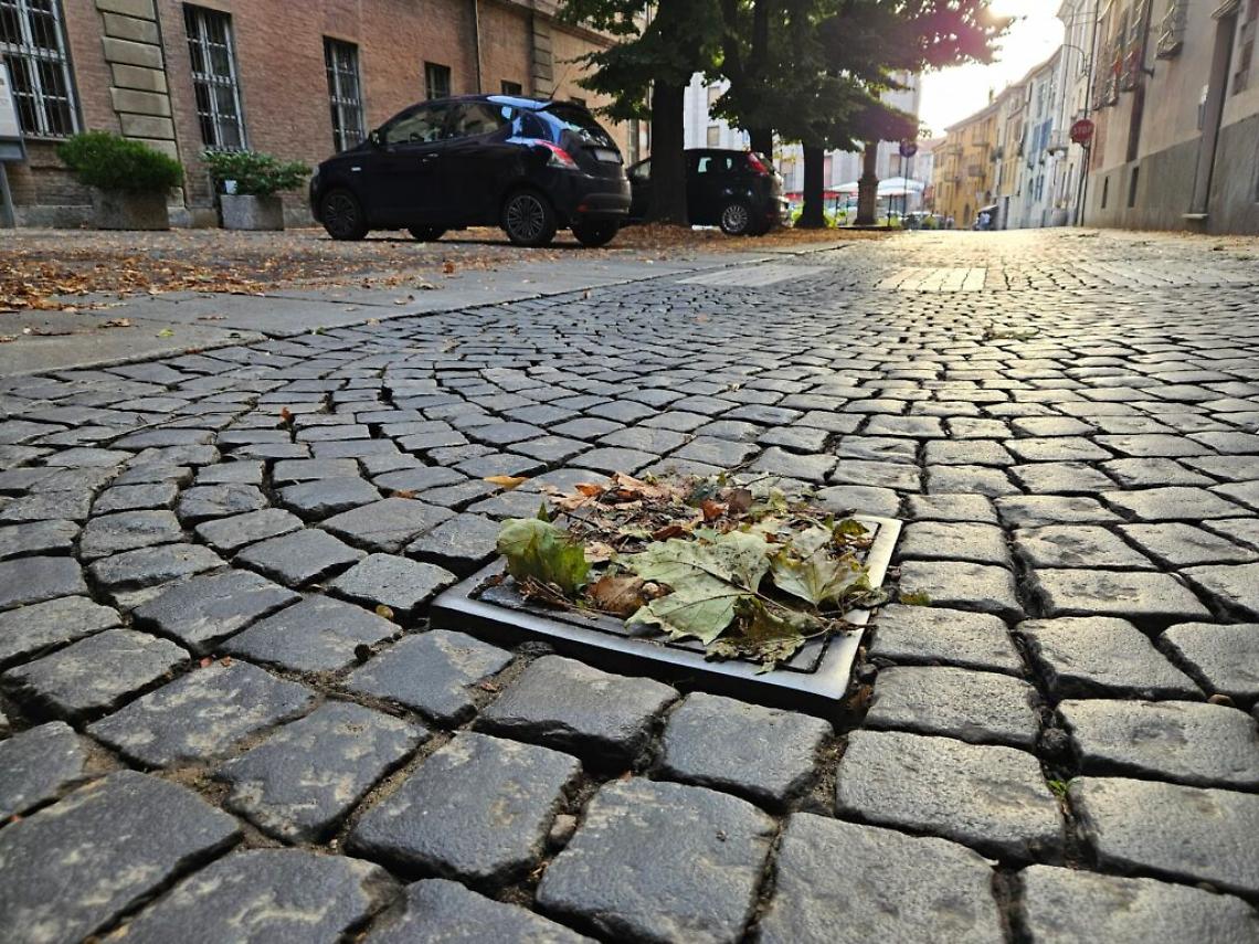 tombino otturato foglie via carducci
